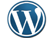 Wordpress Web Development in Delhi
